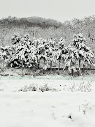 좋은인연원님의 파 · 자유게시판 작성글 사진