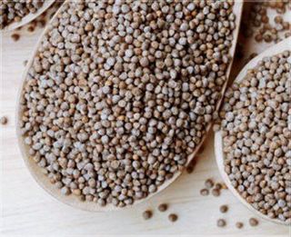 공석래님의 작성글 사진