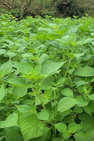 공석래님의 작성글 사진