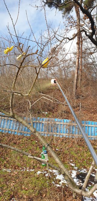 김남철님의 감 · 영농일지 작성글 사진