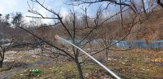 김남철님의 감 · 영농일지 작성글 사진