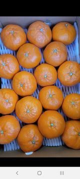 팜모닝 · 게시글 이미지