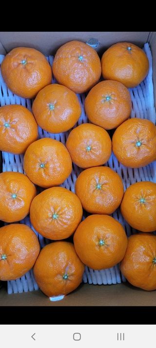 조상길님의 작성글 사진