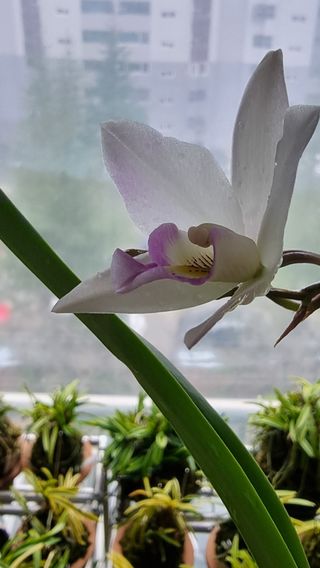 푸른꿈님의 자유주제 · 자유게시판 작성글 사진