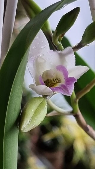 푸른꿈님의 자유주제 · 자유게시판 작성글 사진