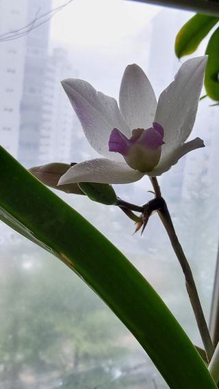 푸른꿈님의 자유주제 · 자유게시판 작성글 사진