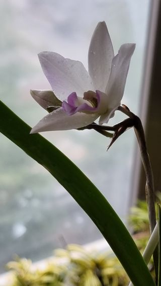 푸른꿈님의 자유주제 · 자유게시판 작성글 사진