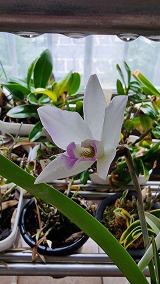 푸른꿈님의 자유주제 · 자유게시판 작성글 사진