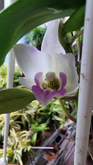 푸른꿈님의 자유주제 · 자유게시판 작성글 사진