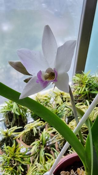 푸른꿈님의 자유주제 · 자유게시판 작성글 사진