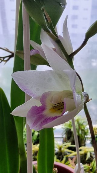 푸른꿈님의 자유주제 · 자유게시판 작성글 사진