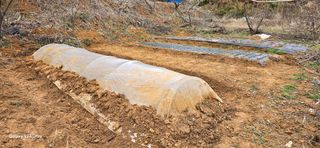 이길우님의 파 · 자유게시판 작성글 사진