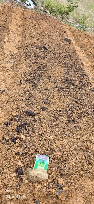 이길우님의 파 · 자유게시판 작성글 사진