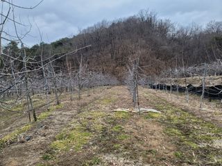 김재현님의 자유주제 · 자유게시판 작성글 사진