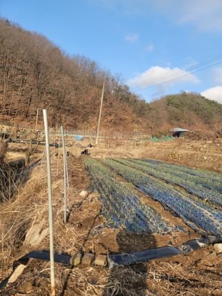 김재현님의 자유주제 · 자유게시판 작성글 사진
