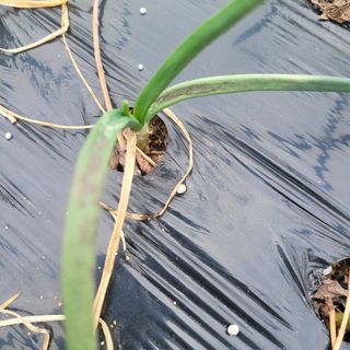 이창화님의 기타작물 · 자유게시판 작성글 사진