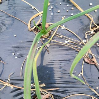 이창화님의 기타작물 · 자유게시판 작성글 사진