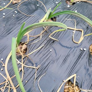 이창화님의 기타작물 · 자유게시판 작성글 사진