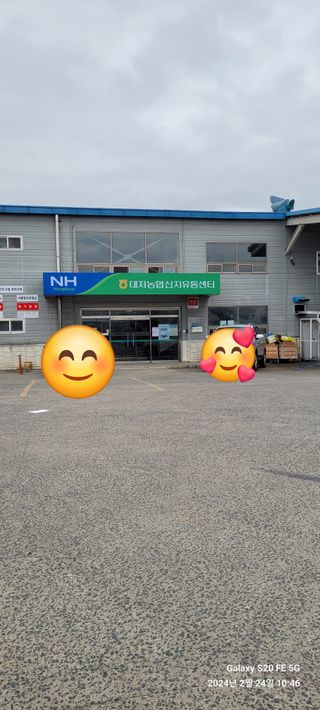 로즈마리님의 마늘 · 비료•농약 작성글 사진