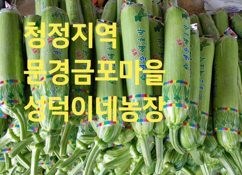 애호박농사꾼님의 장터 판매 상품 [애호박고지500g] 첨부 사진