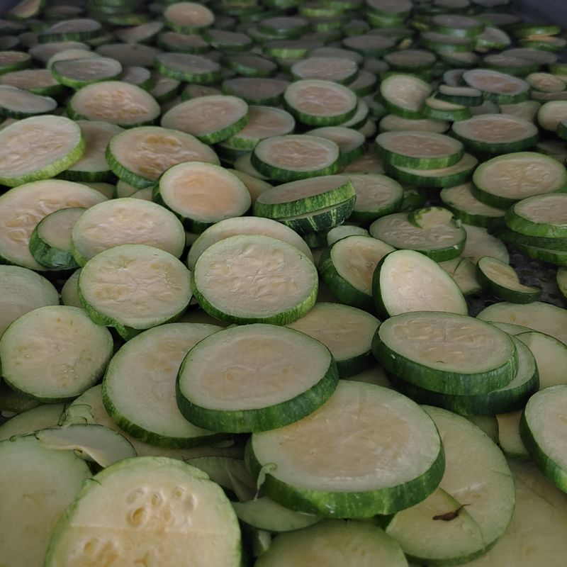 애호박농사꾼님의 장터 판매 상품 [애호박고지500g] 첨부 사진