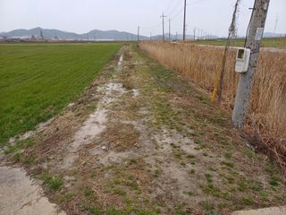 전영일님의 농사, 무엇이든 물어보세요! · 참여글 작성글 사진