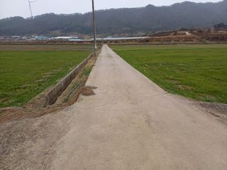 전영일님의 농사, 무엇이든 물어보세요! · 참여글 작성글 사진