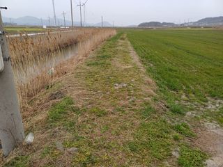 전영일님의 농사, 무엇이든 물어보세요! · 참여글 작성글 사진