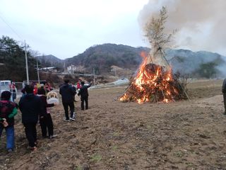 오영도님의 자유주제 · 자유게시판 작성글 사진