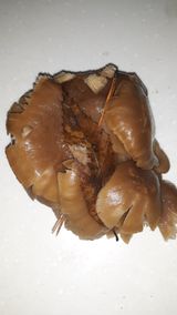 팜모닝 자유주제·자유게시판 게시글 이미지