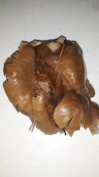 김병화님의 자유주제 · 자유게시판 작성글 사진