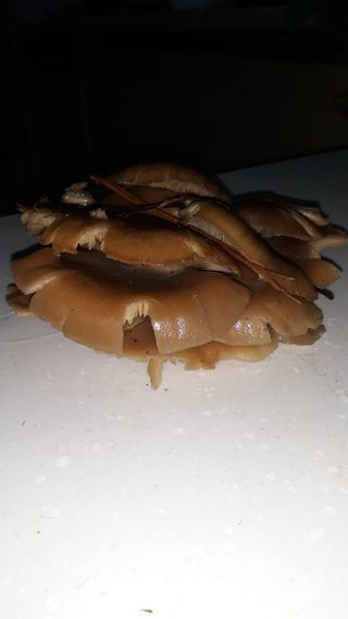 김병화님의 자유주제 · 자유게시판 작성글 사진