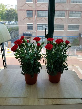 안재명님의 팜모닝 · 출석 작성글 사진