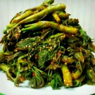 병풍취산채농원님의 작성글 사진