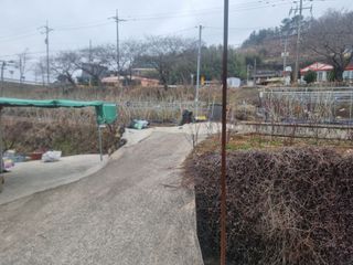 정영기대산축산농부♡님의 기타작물 · 영농일지 작성글 사진