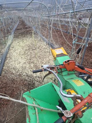 정영기대산축산농부♡님의 기타작물 · 영농일지 작성글 사진
