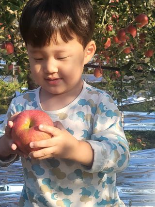 김복덕님의 우리지역 대표작물 자랑하기 · 참여글 작성글 사진