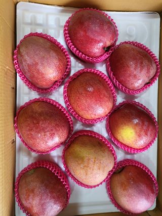 김복덕님의 우리지역 대표작물 자랑하기 · 참여글 작성글 사진