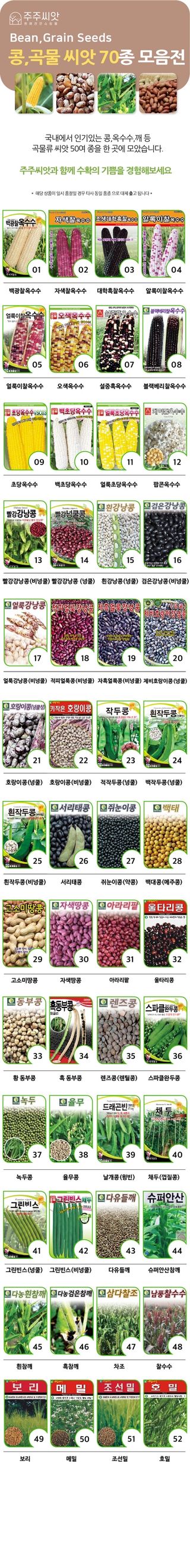 주주씨앗님의 작성글 사진