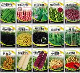 팜모닝 · 게시글 이미지