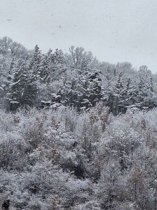 욕심내지말자님의 복숭아 · 자유게시판 작성글 사진