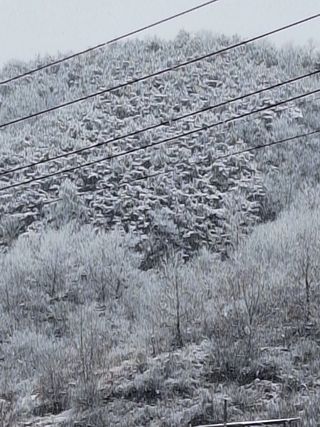 욕심내지말자님의 복숭아 · 자유게시판 작성글 사진