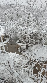 팜모닝 사과·일상 게시글 이미지