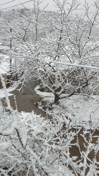 준농원님의 사과 · 일상 작성글 사진