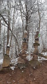 팜모닝 자유주제·자유게시판 게시글 이미지