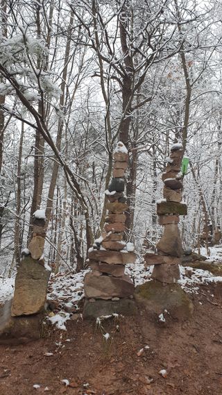 세미골곶감님의 자유주제 · 자유게시판 작성글 사진