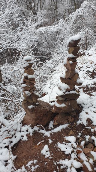 세미골곶감님의 자유주제 · 자유게시판 작성글 사진