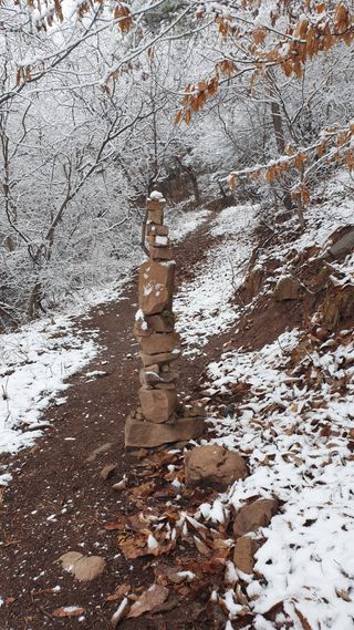 세미골곶감님의 자유주제 · 자유게시판 작성글 사진