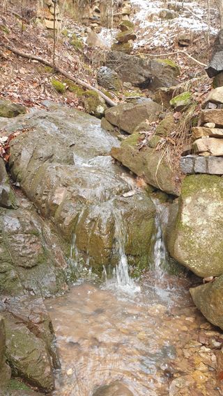 세미골곶감님의 자유주제 · 자유게시판 작성글 사진