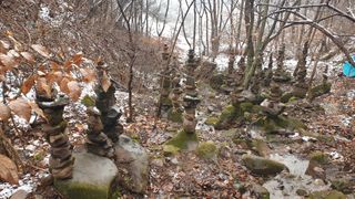 세미골곶감님의 자유주제 · 자유게시판 작성글 사진